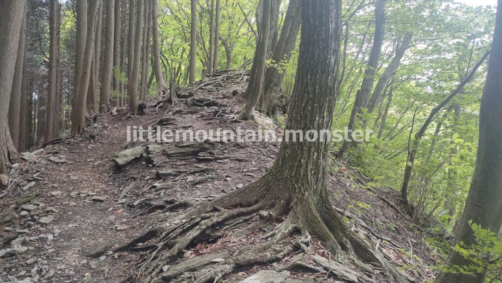 粥仁田峠（かゆにたとうげ）まで、コンクリの道が続く