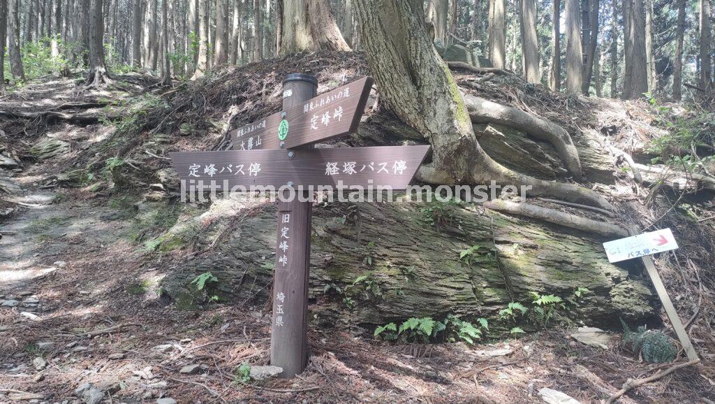 旧定峰峠→定峰峠まで変化にとんだ道をハイキング