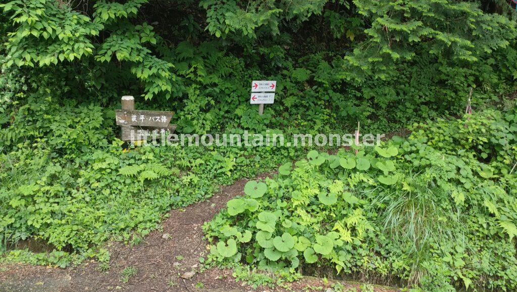 笠山→堂平山へバスでアクセスした【4時間半】ハイキングコース