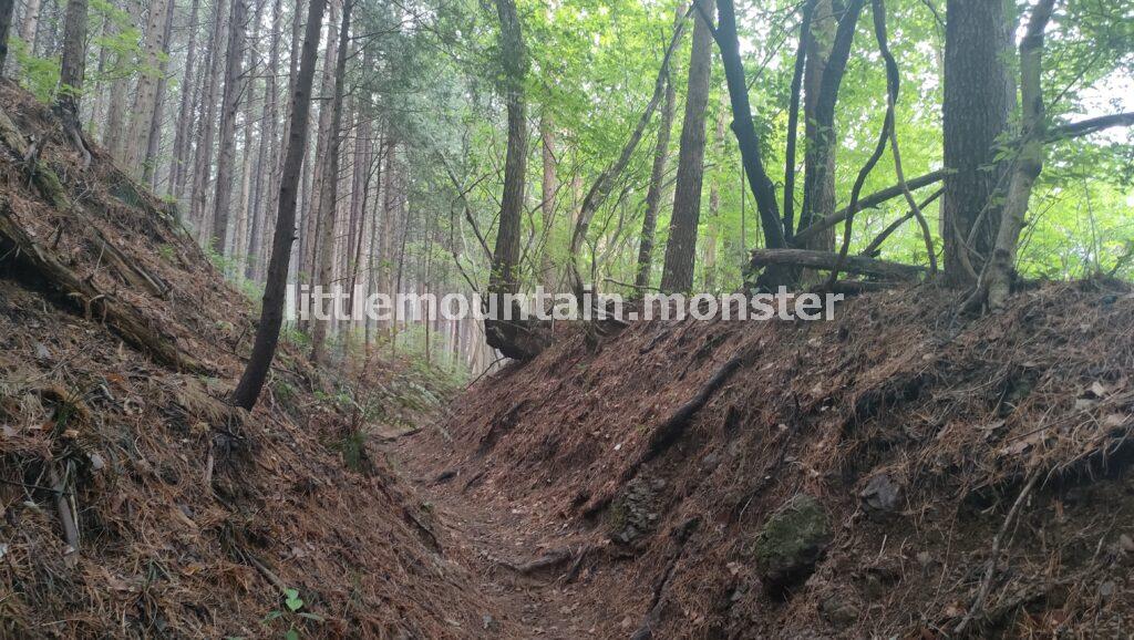 笠山→堂平山へバスでアクセスした【4時間半】ハイキングコース
