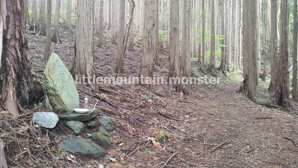 笠山→堂平山へバスでアクセスした【4時間半】ハイキングコース