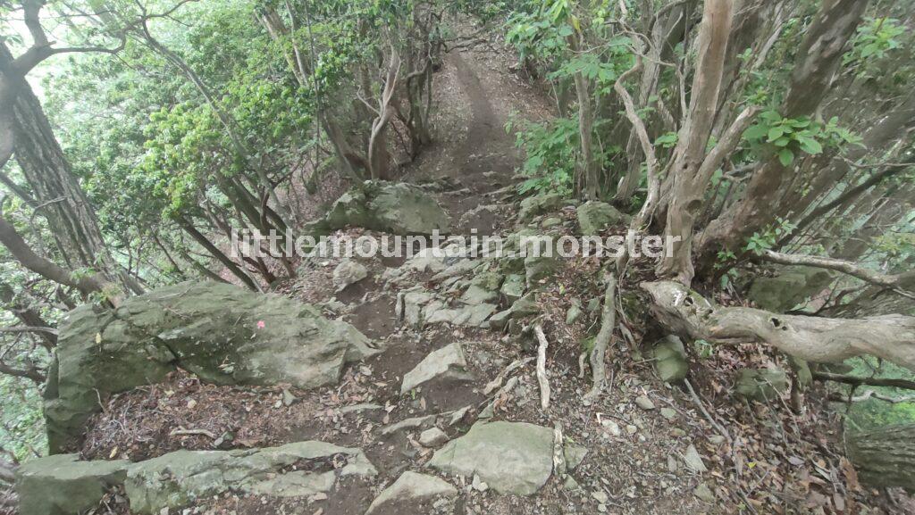 笠山の頂上はふたつ！笠山神社にも頂上碑があるよ