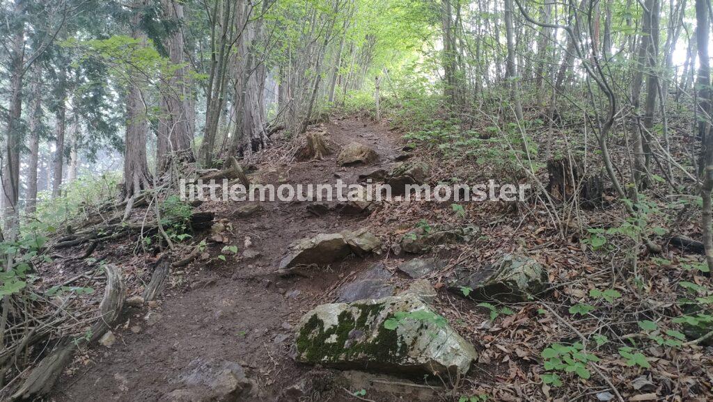 堂平山まで霞む林を抜ける