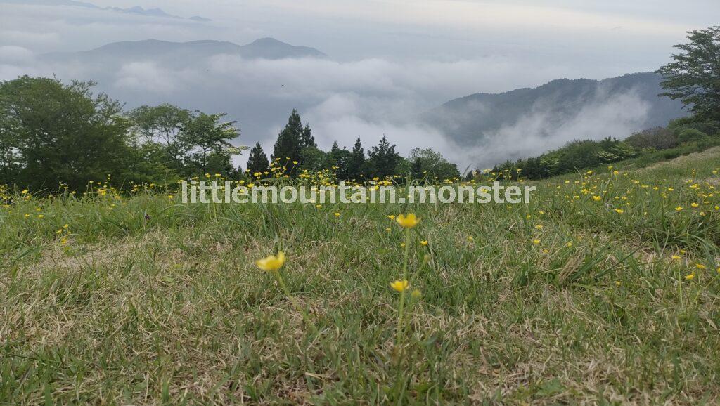 堂平山山頂では、雲海から山が顔をだしていたよ