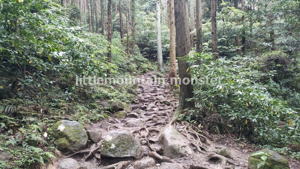 御幸ヶ原コースで、筑波山に登山！岩場がきつい（苦笑）