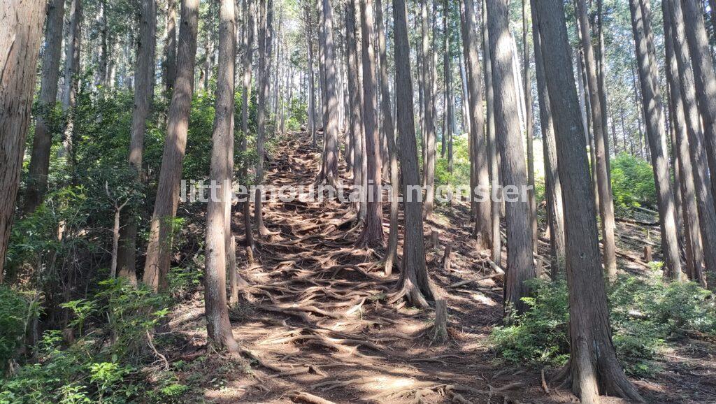 豆口峠経由で子ノ権現まで登るよ