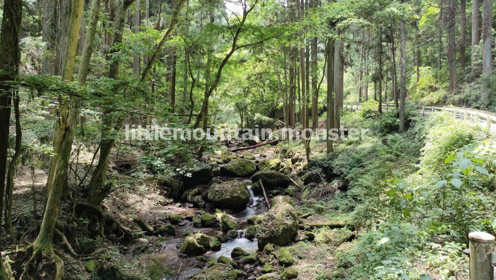 吾野駅を目指して、渓流沿いの道を歩く