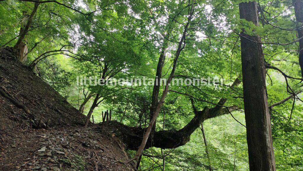 丁目石もたまにある！三峯神社の表参道を登る