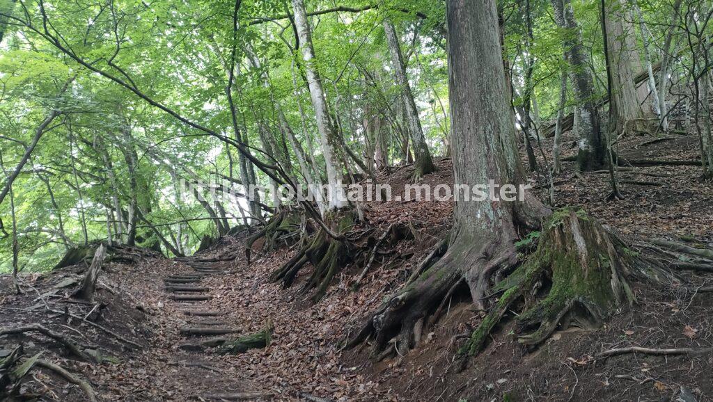 丁目石もたまにある！三峯神社の表参道を登る