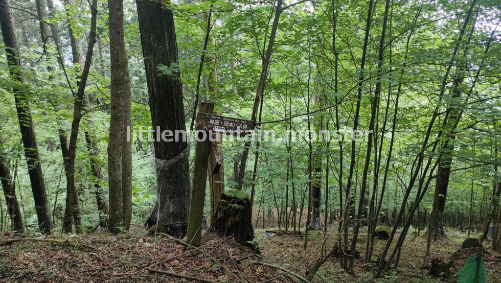 三峯神社の裏参道を岡本バス停目指して下っていく