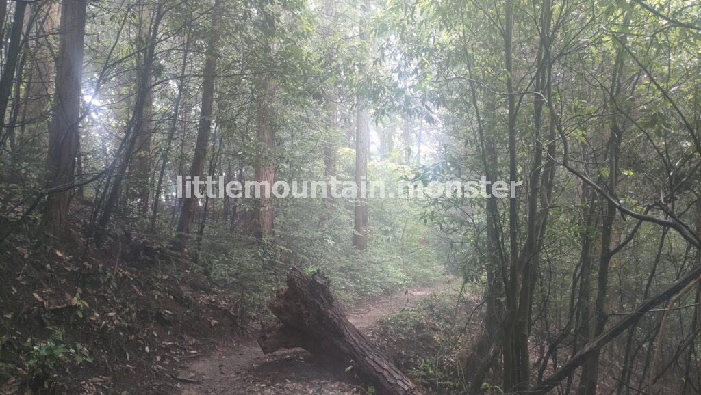 ピークを踏めず！金比羅山へ登山する
