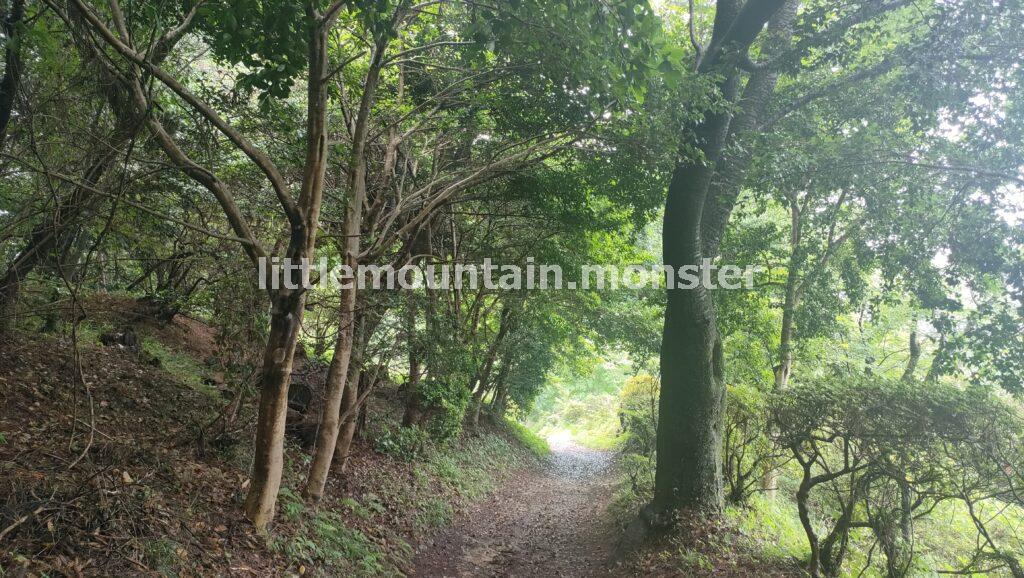 ピークを踏めず！金比羅山へ登山する