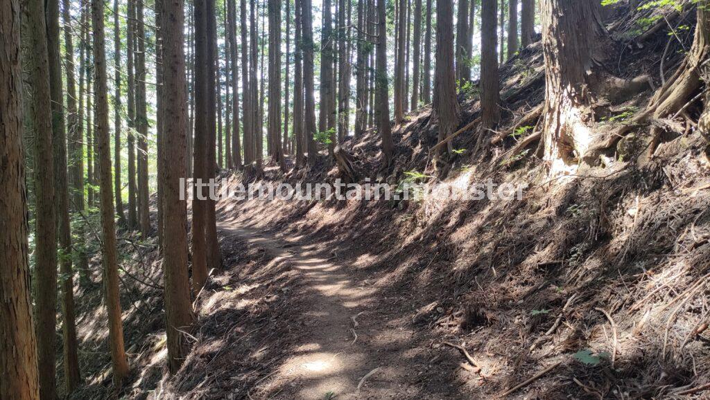 惣岳山（そうがくさん）頂上（756m）には青渭神社の奥の院があるよ