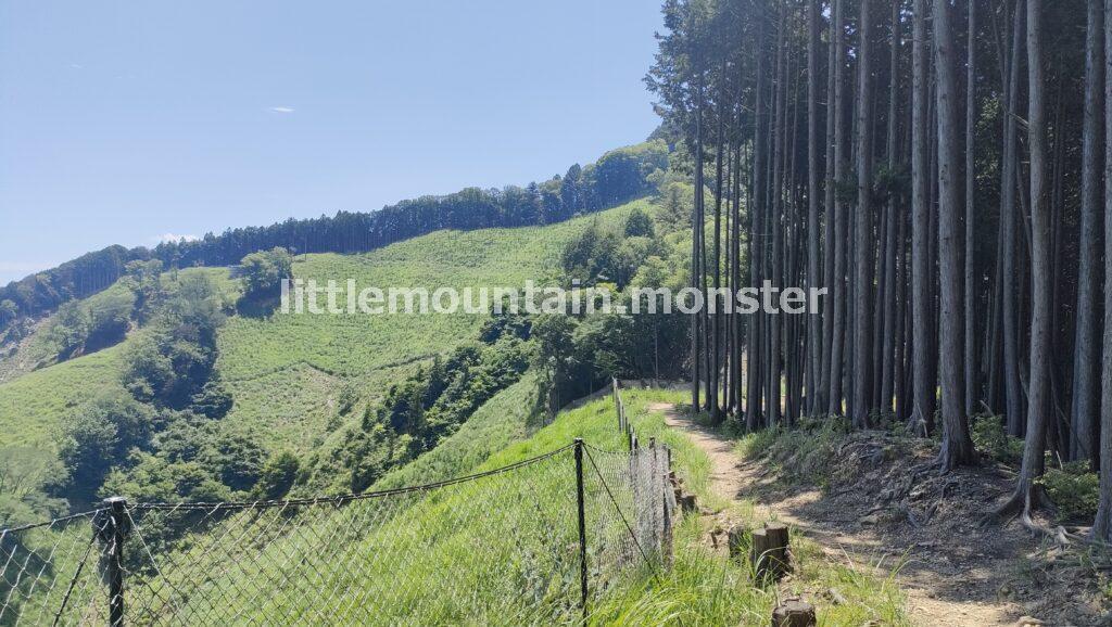 惣岳山（そうがくさん）頂上（756m）には青渭神社の奥の院があるよ