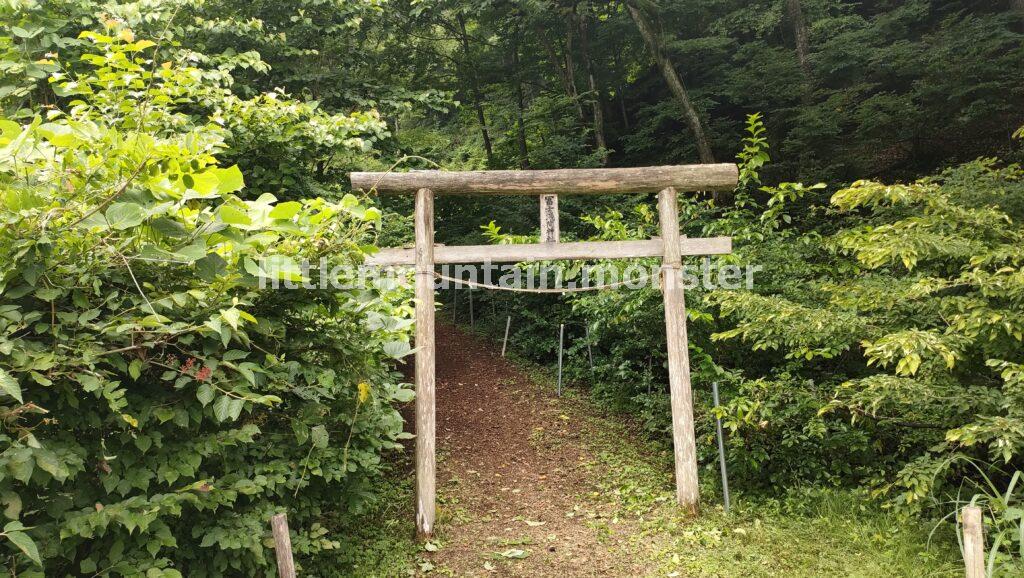 富士浅間神社の鳥居をくぐったら、右に登る道を進め