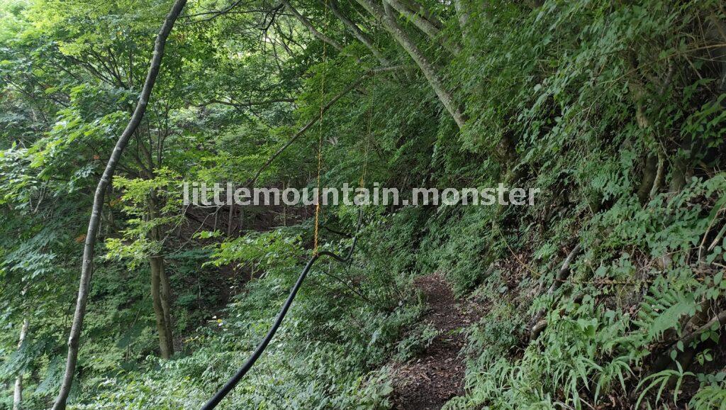 富士浅間神社の鳥居をくぐったら、右に登る道を進め