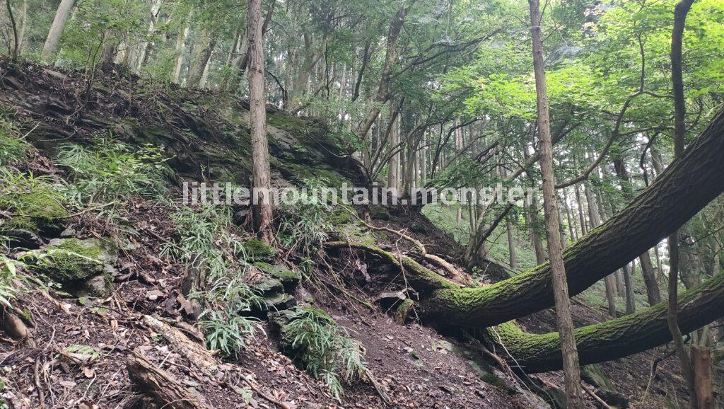 富士浅間神社の鳥居をくぐったら、右に登る道を進め