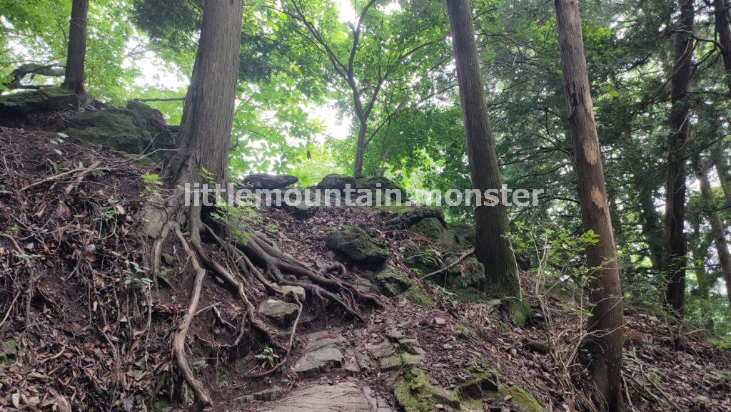 富士浅間神社の鳥居をくぐったら、右に登る道を進め