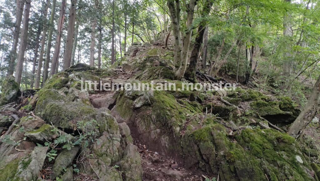 富士浅間神社の鳥居をくぐったら、右に登る道を進め