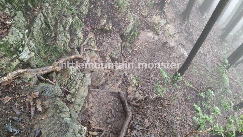 二子山雌岳山頂→雄岳山頂で道迷い！