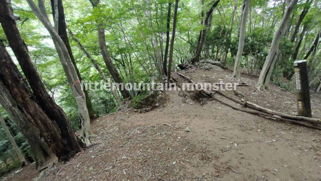 滑る道をロープを頼りに下る！渓流の美しさに魅せられる