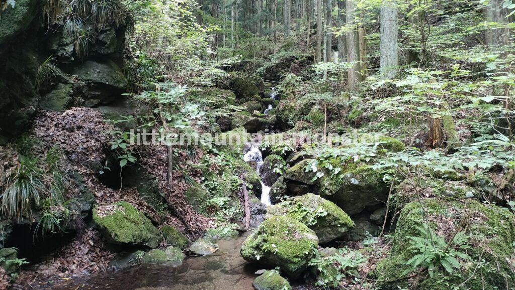 滑る道をロープを頼りに下る！渓流の美しさに魅せられる