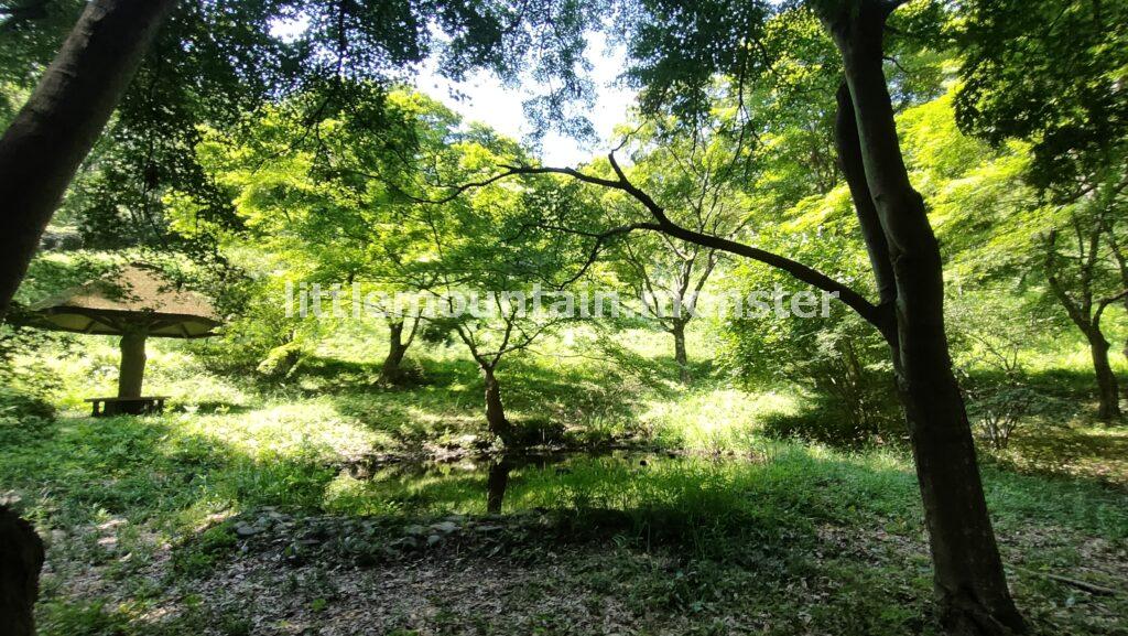 萬福寺、そして美の山山頂（581.5m）へ