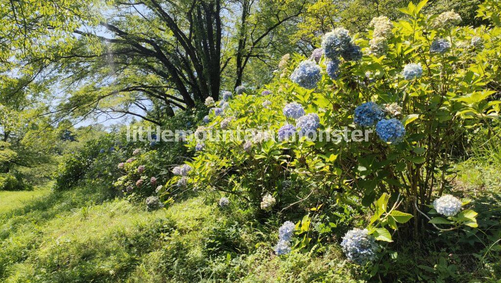 萬福寺、そして美の山山頂（581.5m）へ