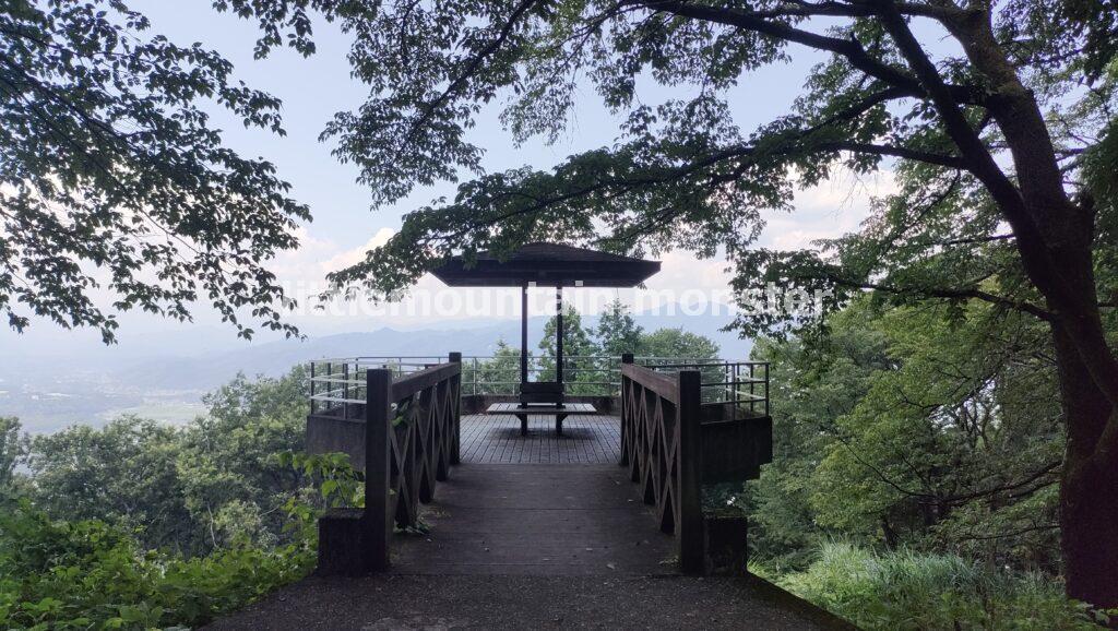 可憐な白い花！榛名神社