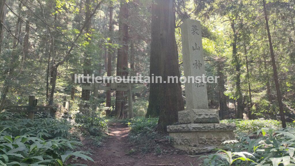 箕山神社経由で下山するよ