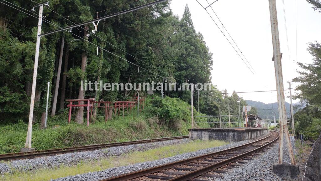 弟冨士山(おとふじやま・386m)へ登ったよ