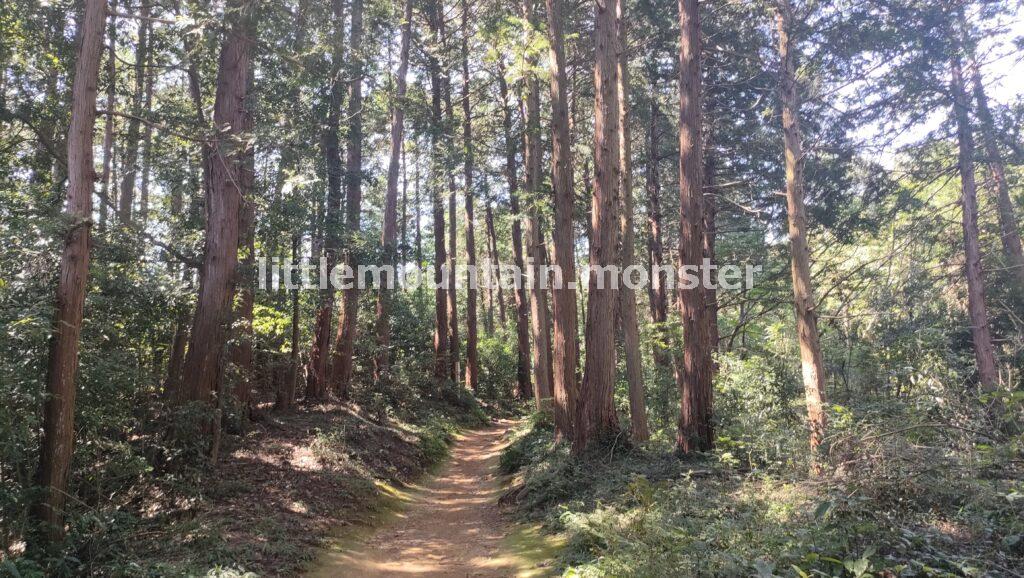 見返り坂→雨乞い池を経て多峯主山山頂（271m）へ