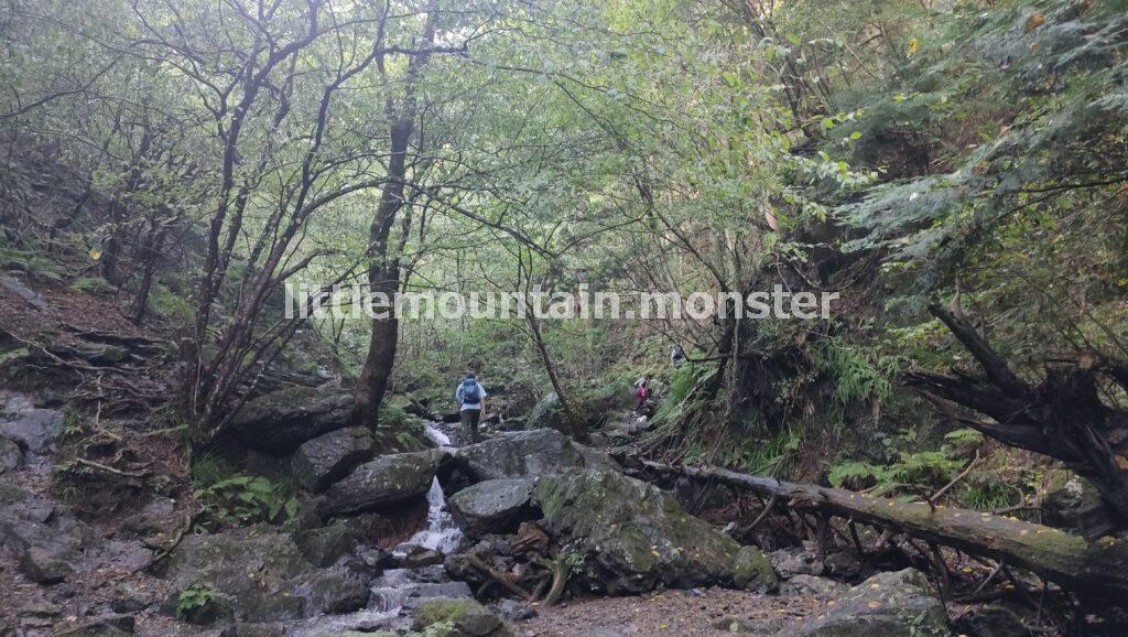 清涼感に包まれながら、白谷沢を沢登り