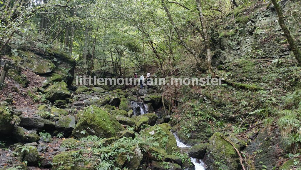 清涼感に包まれながら、白谷沢を沢登り