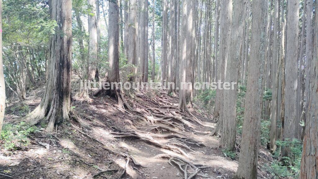 権次入峠を経由して、平尾根経由でくだる