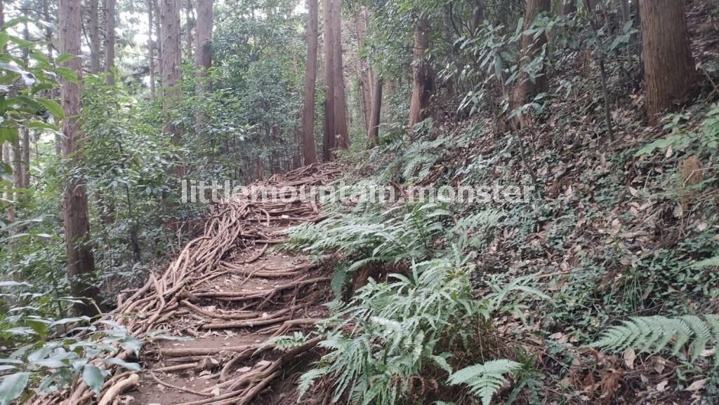 弓立山男鹿岩 登山口は、急な階段が歓迎してくれた