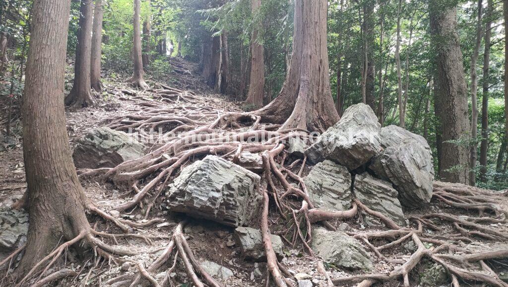 弓立山男鹿岩 登山口は、急な階段が歓迎してくれた