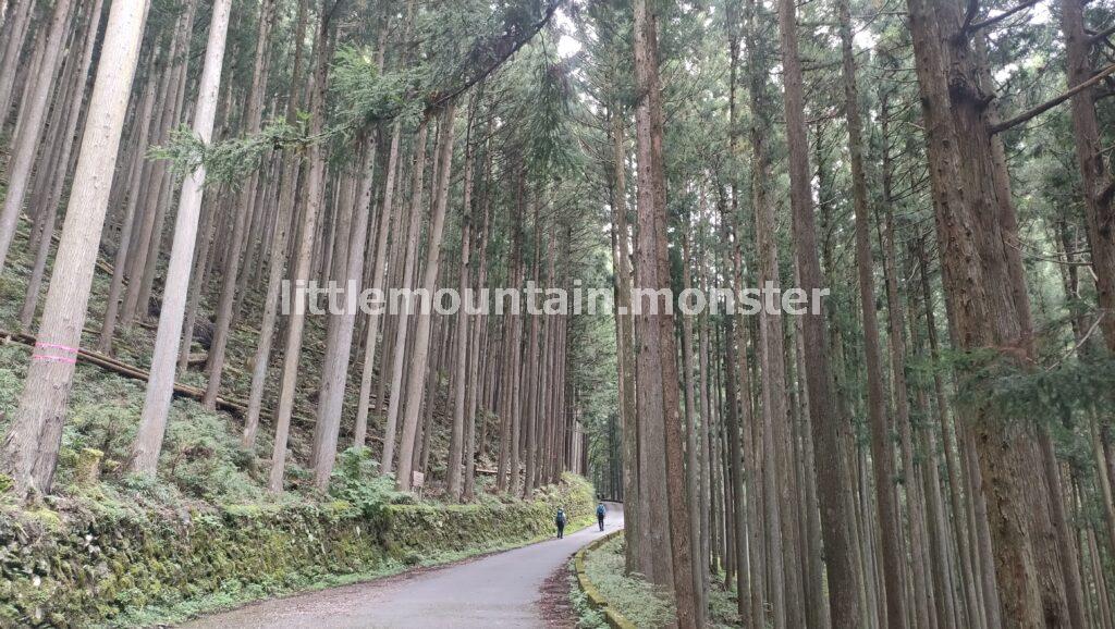 40分ほど渓流沿いを歩き、登山口へ到着
