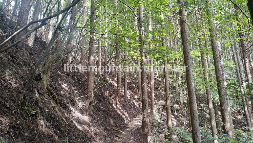 川苔山（1363m）の頂上まで岩登り！