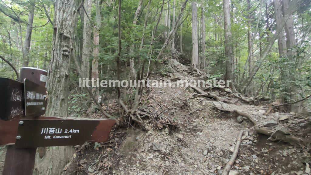 川苔山（1363m）の頂上まで岩登り！