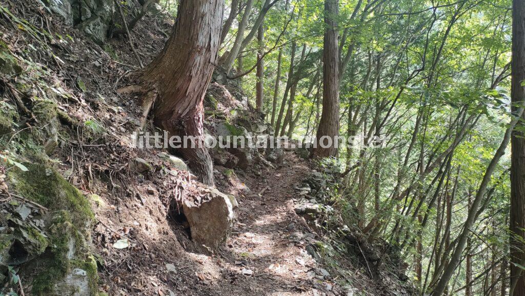 川苔山（1363m）の頂上まで岩登り！