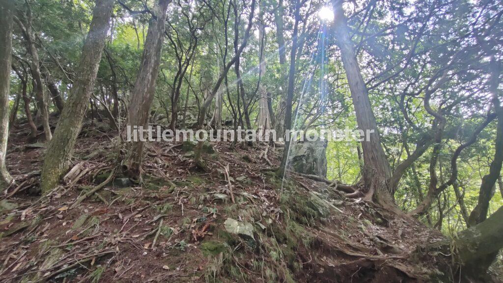 川苔山（1363m）の頂上まで岩登り！