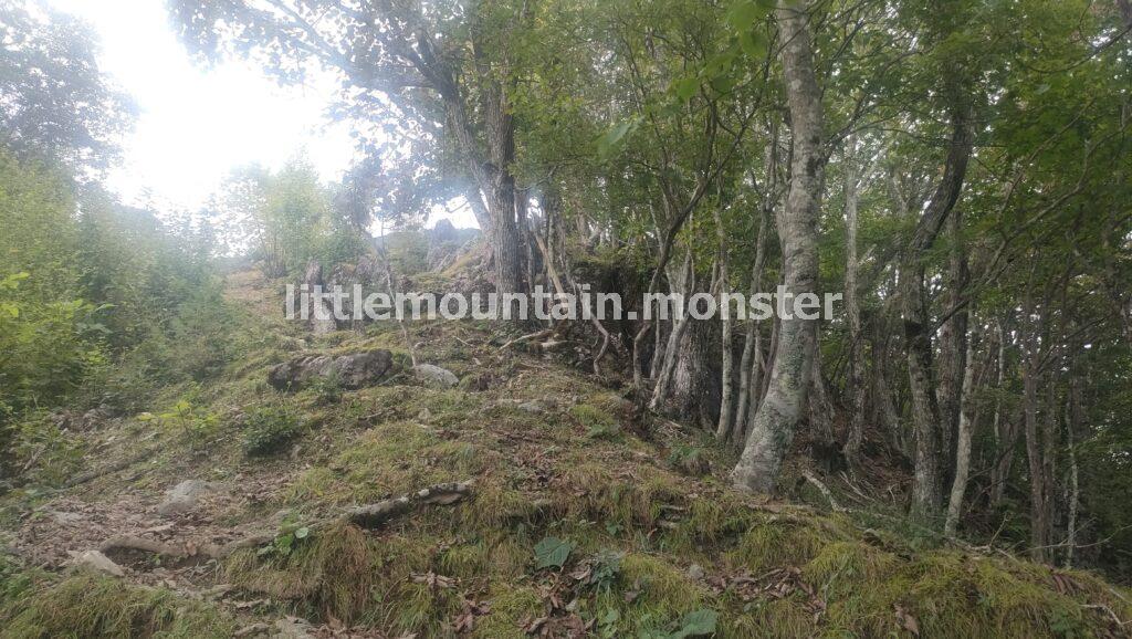 川苔山（1363m）の頂上まで岩登り！
