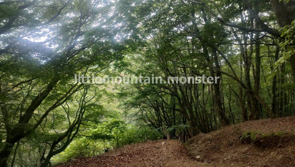 熊野神社経由でJR鳩ノ巣駅まで下る