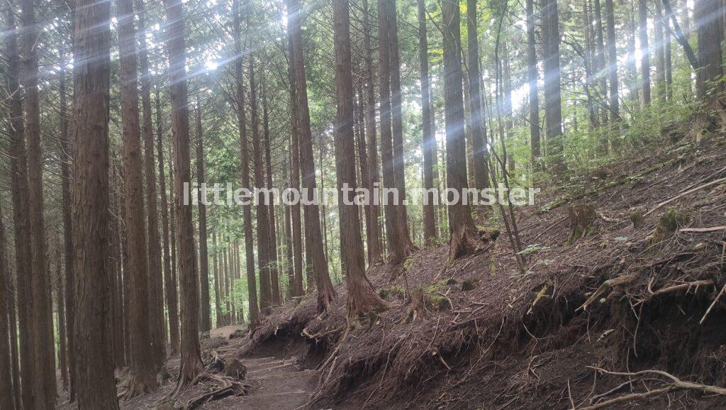 熊野神社経由でJR鳩ノ巣駅まで下る
