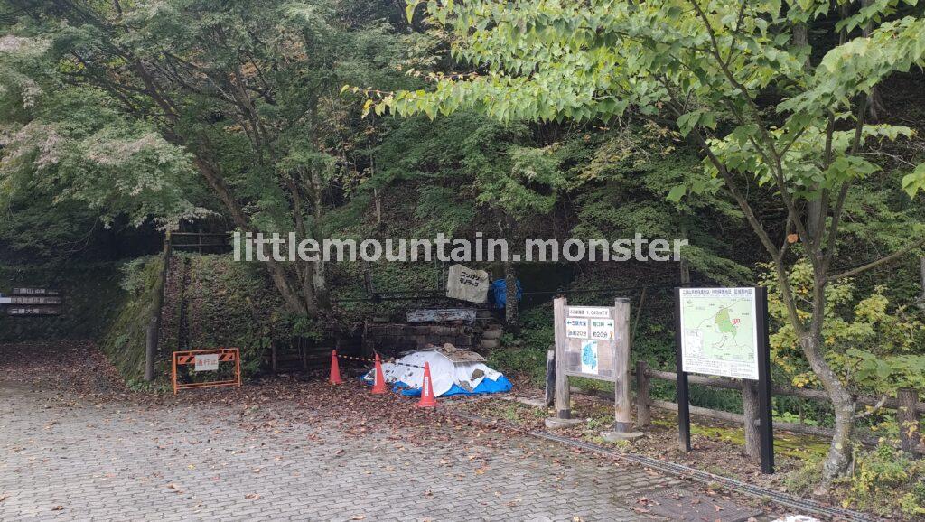 三頭山の3つの山頂を目指し、ブナ林を登る