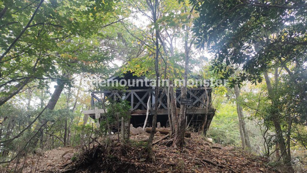 三頭山の3つの山頂を目指し、ブナ林を登る