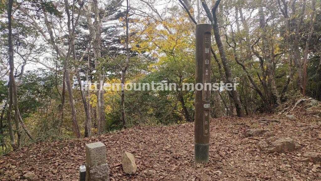 三頭山の3つの山頂を目指し、ブナ林を登る