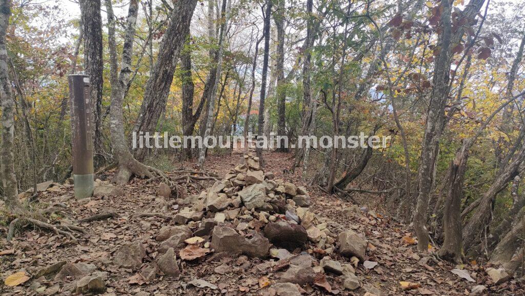 三頭山の3つの山頂を目指し、ブナ林を登る