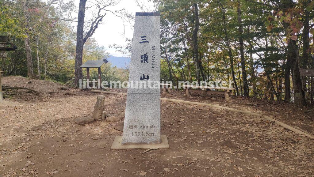 三頭山の3つの山頂を目指し、ブナ林を登る